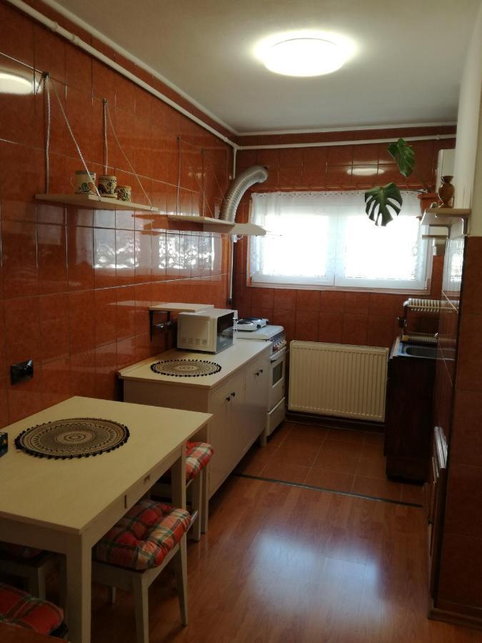 Sara Apartman Тыргу-Муреш Экстерьер фото